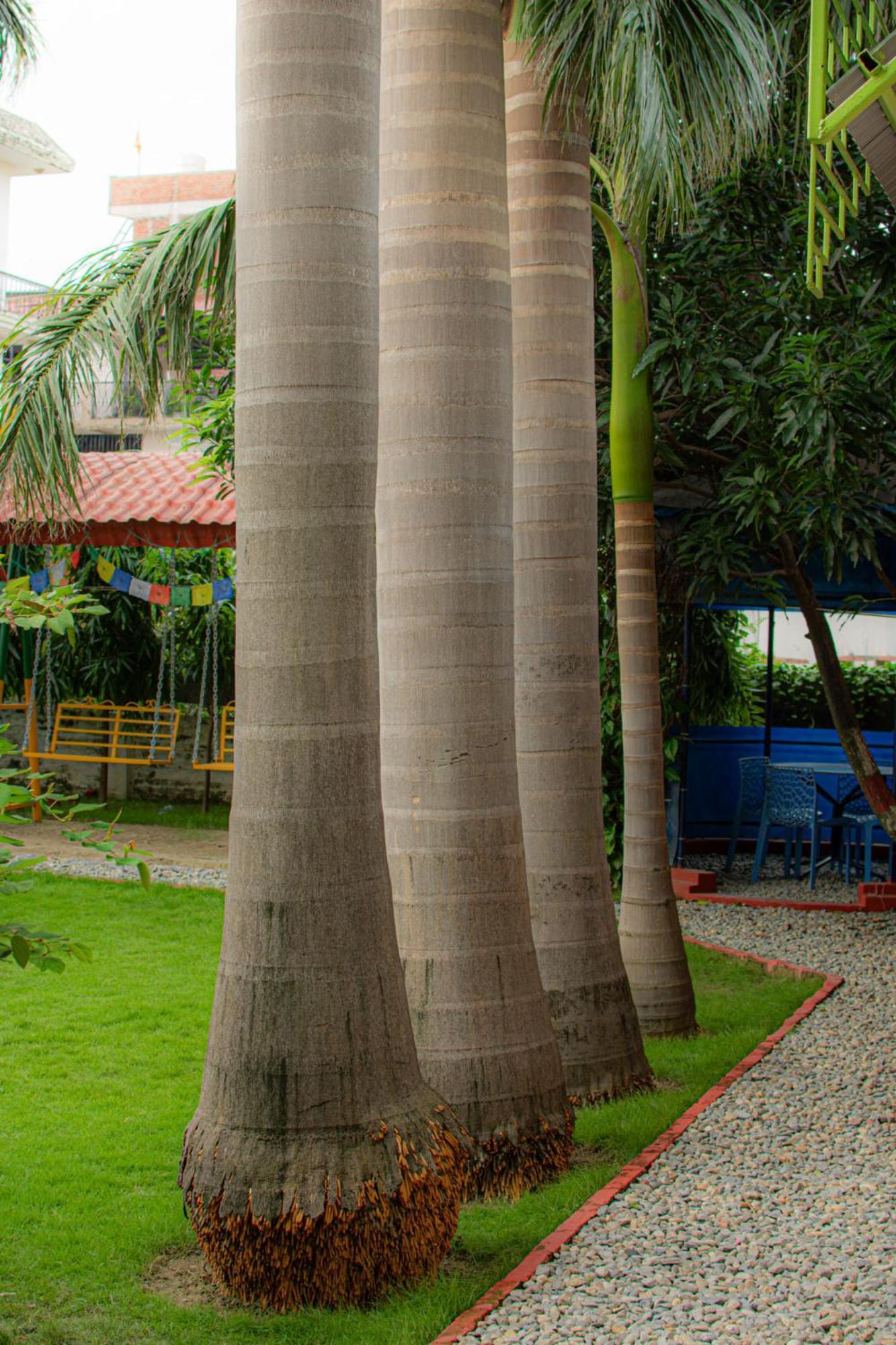 Galaxy Guest House Bhairāhawā Exteriör bild